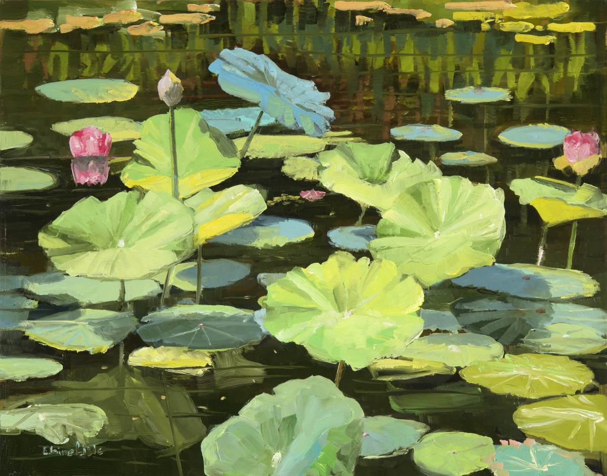 Lotus Pond Reflelctions by Elaine Lisle 