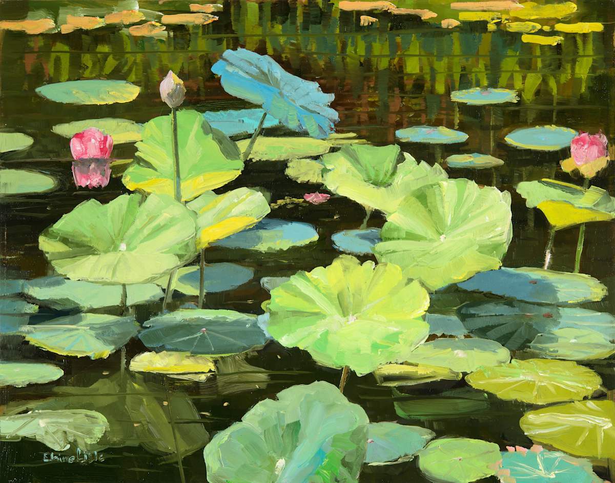 Lotus Pond Reflelctions by Elaine Lisle, Image 1.