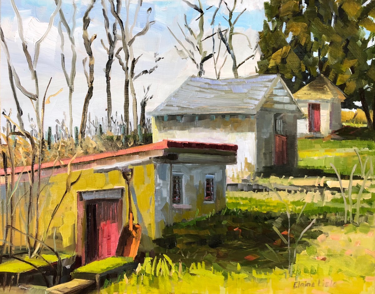 Morning Light Outbuildings by Elaine Lisle 