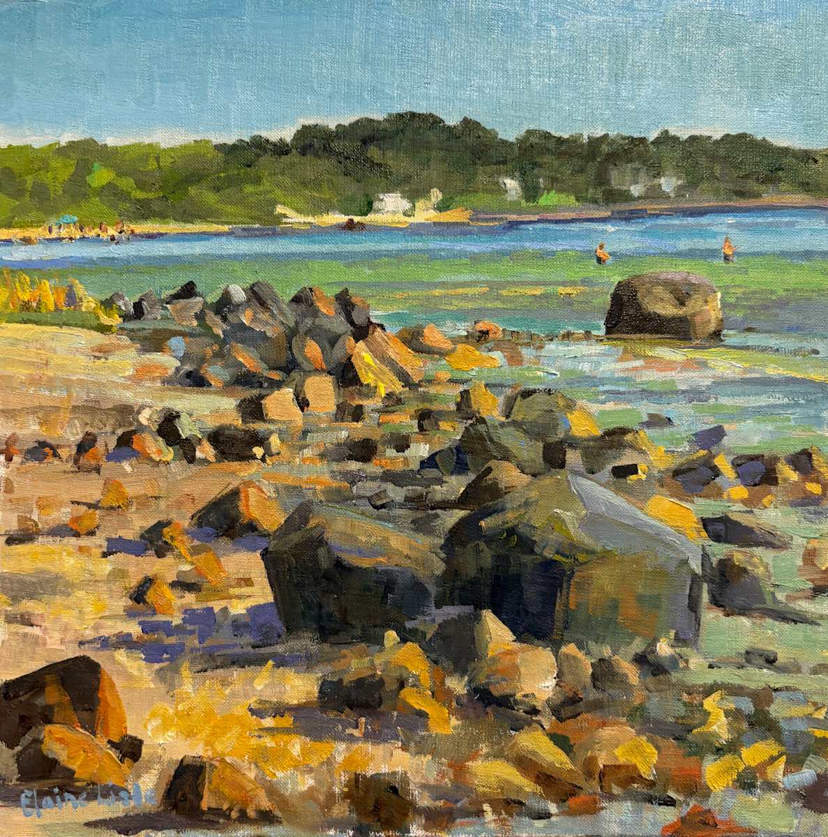 Rocks on the Beach by Elaine Lisle 