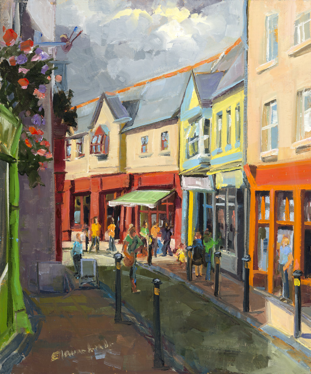 Selskar Bookshop "The Sun is Coming" by Elaine Lisle 