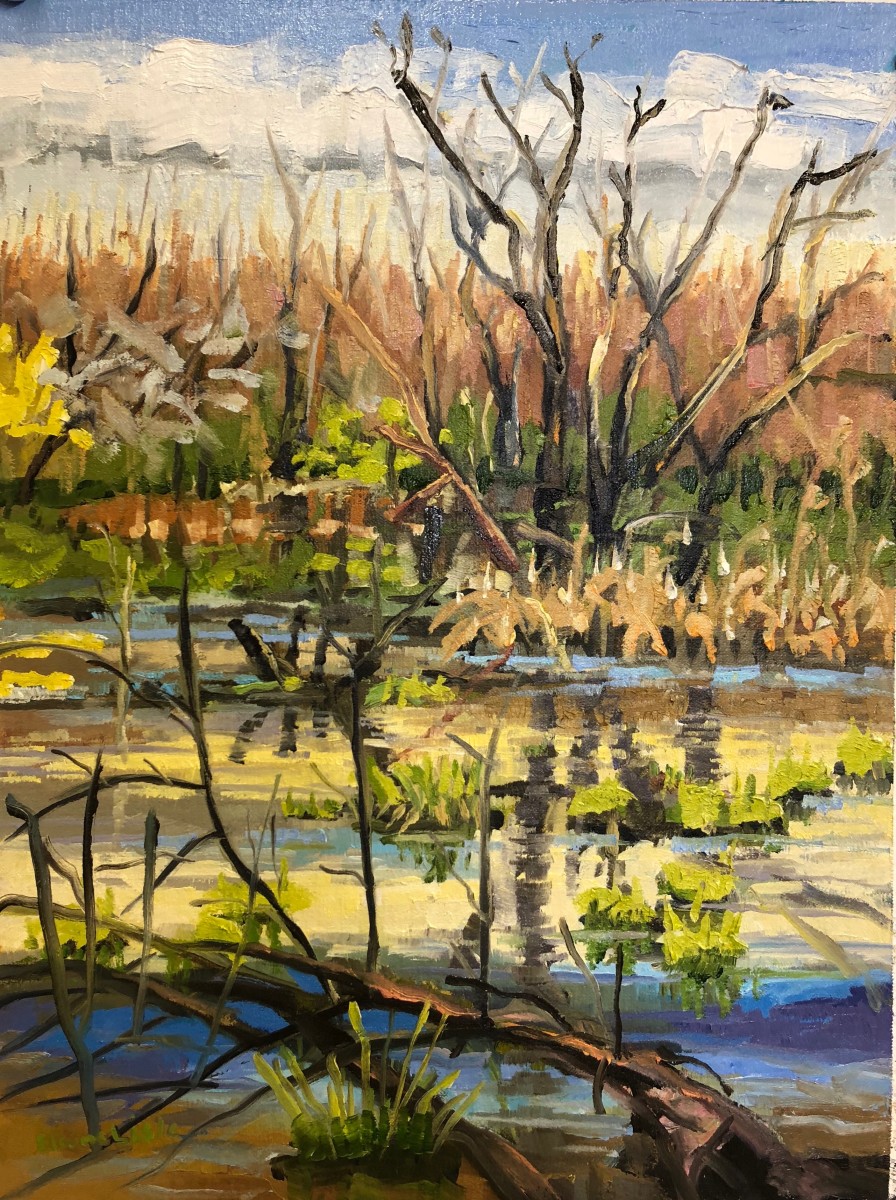 Spring Coming Marshlands Preserve by Elaine Lisle 