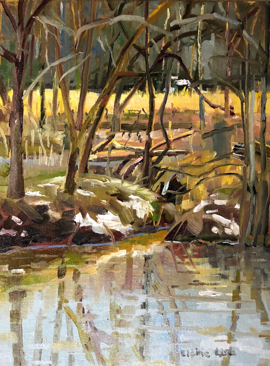 Winter Creek at Stroud Preserve by Elaine Lisle 