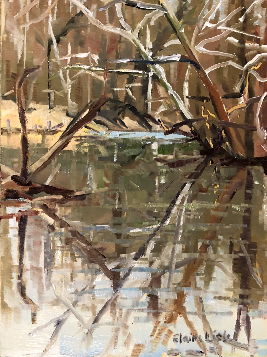 Stroud Preserve Winter Reflections by Elaine Lisle 