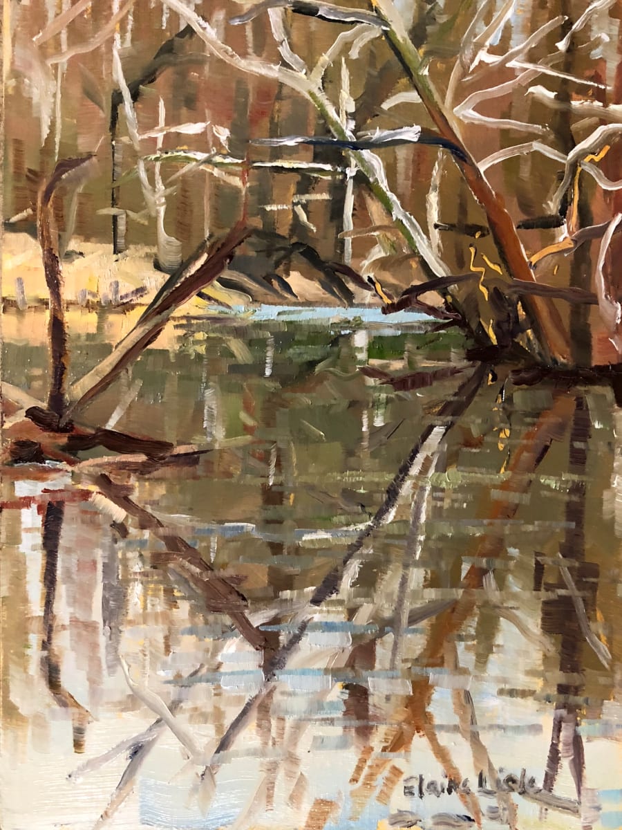 Stroud Preserve Winter Reflections by Elaine Lisle, Image 1.