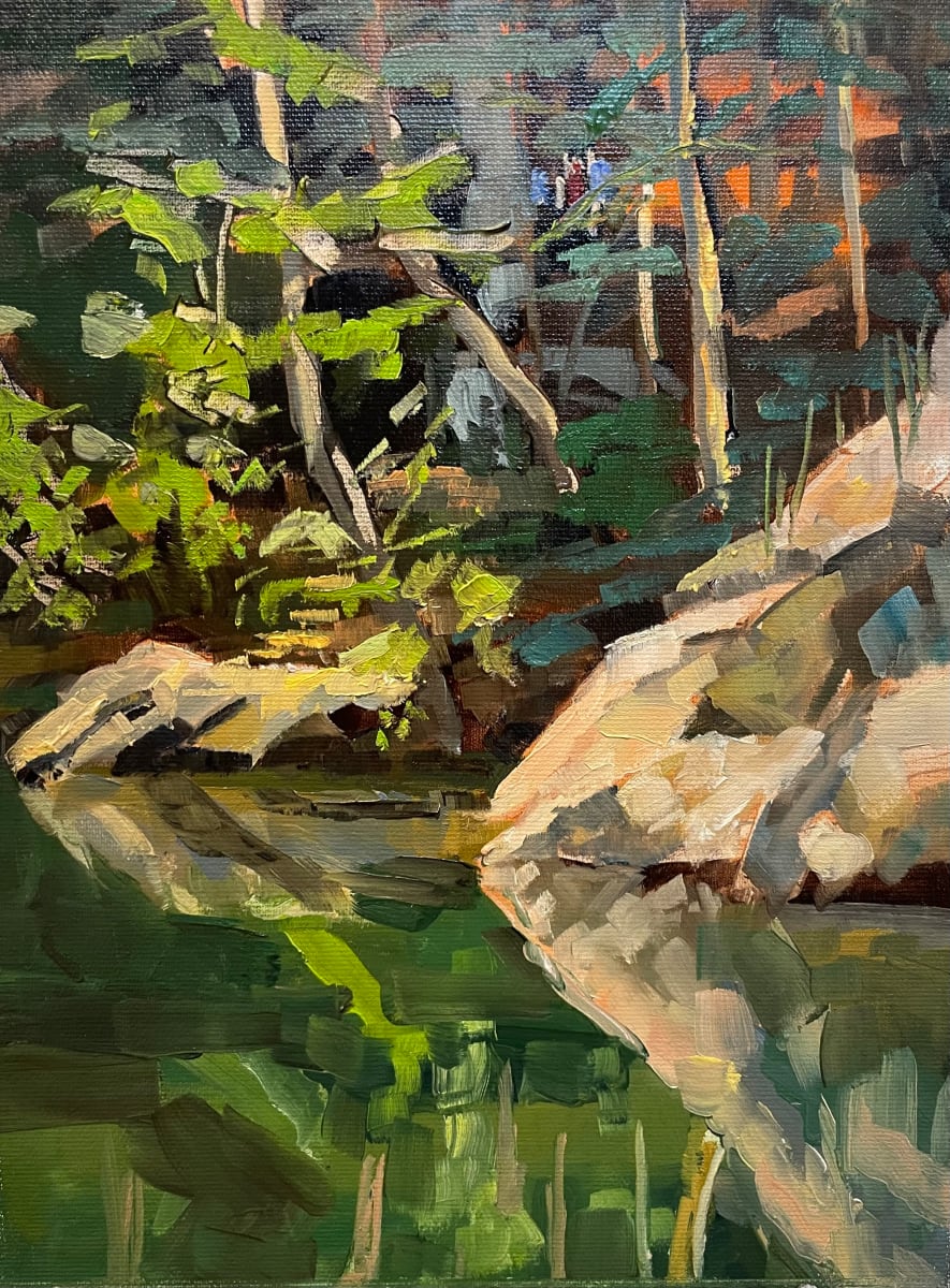 Wissahickon Rock by Elaine Lisle 