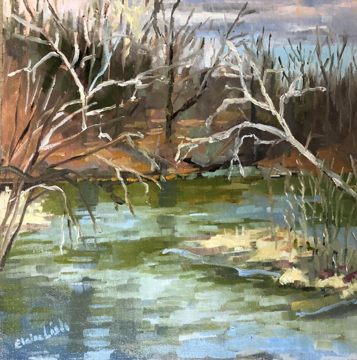 Winter Sycamores on Brandywine by Elaine Lisle 