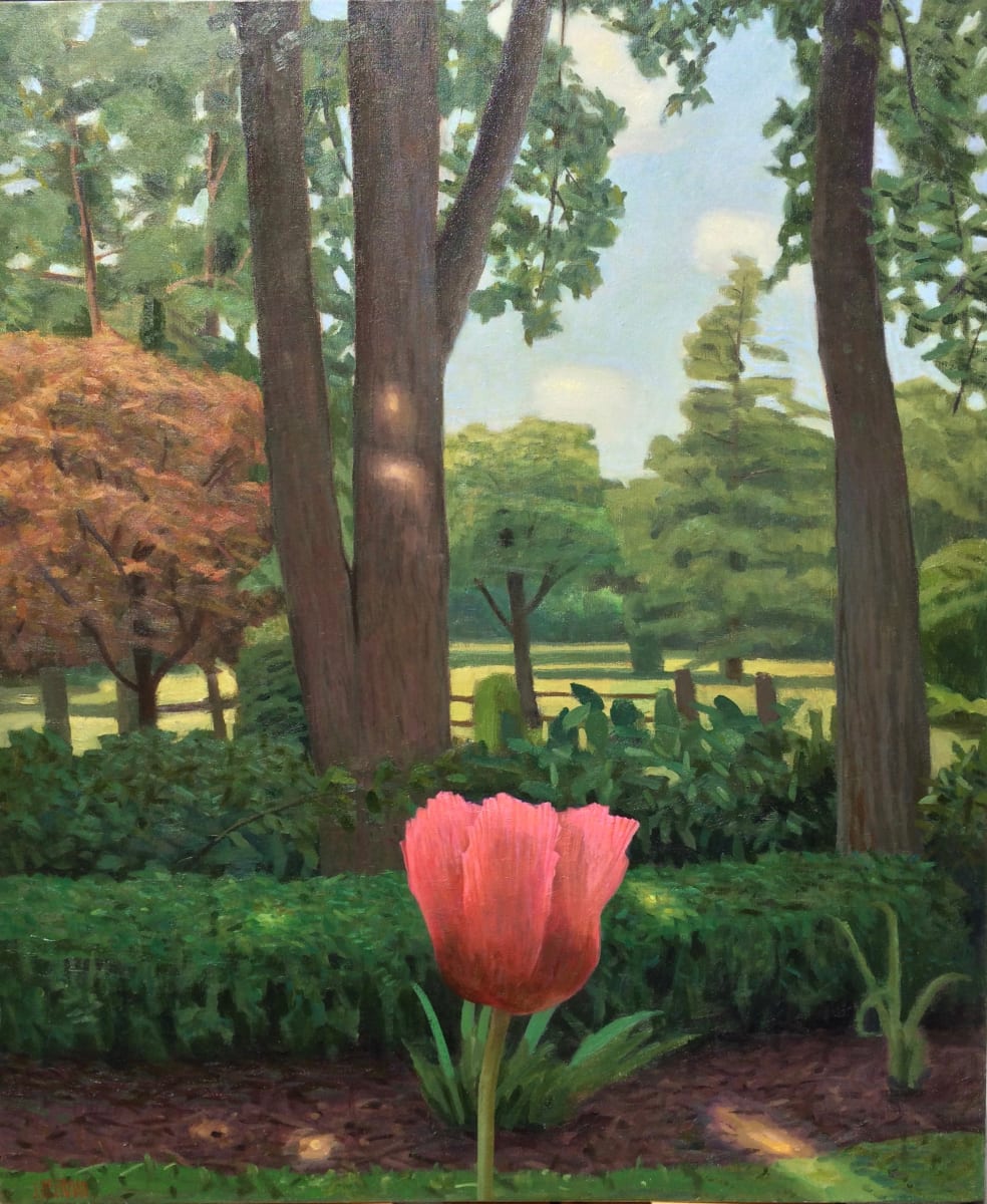 Chatwood Trees and Poppy by John Beerman 
