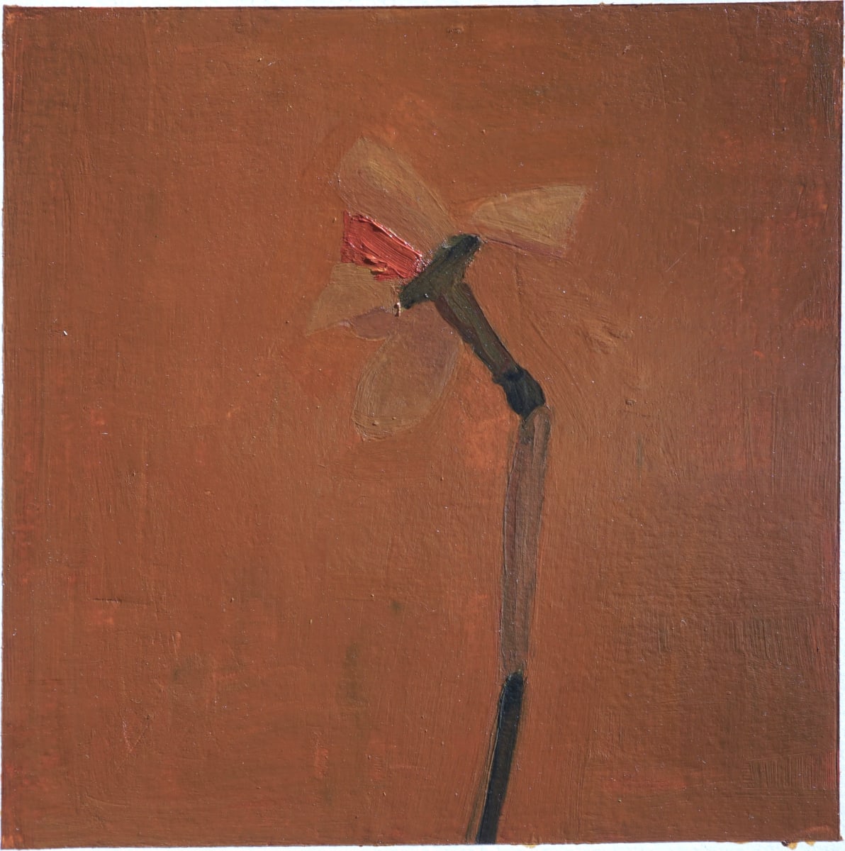 Daffodil Study 5 by John Beerman 