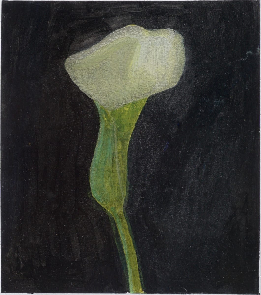 Calla Lily Study 3 by John Beerman 