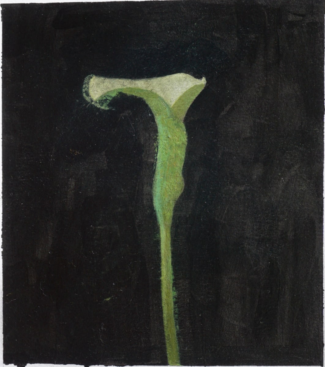 Calla Lily Study 4 by John Beerman 