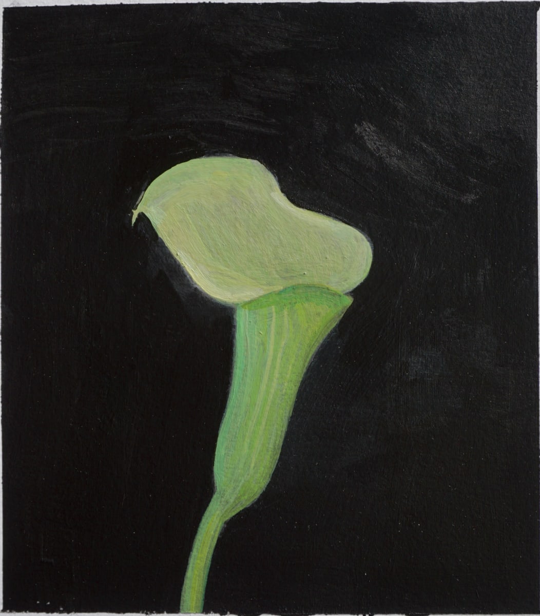 Calla Lily Study 5 by John Beerman 