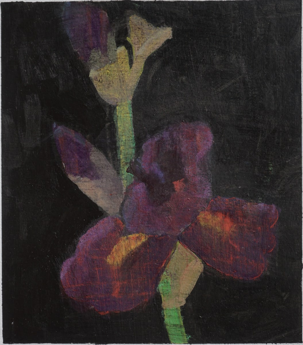 Purple Flower Study 1 by John Beerman 