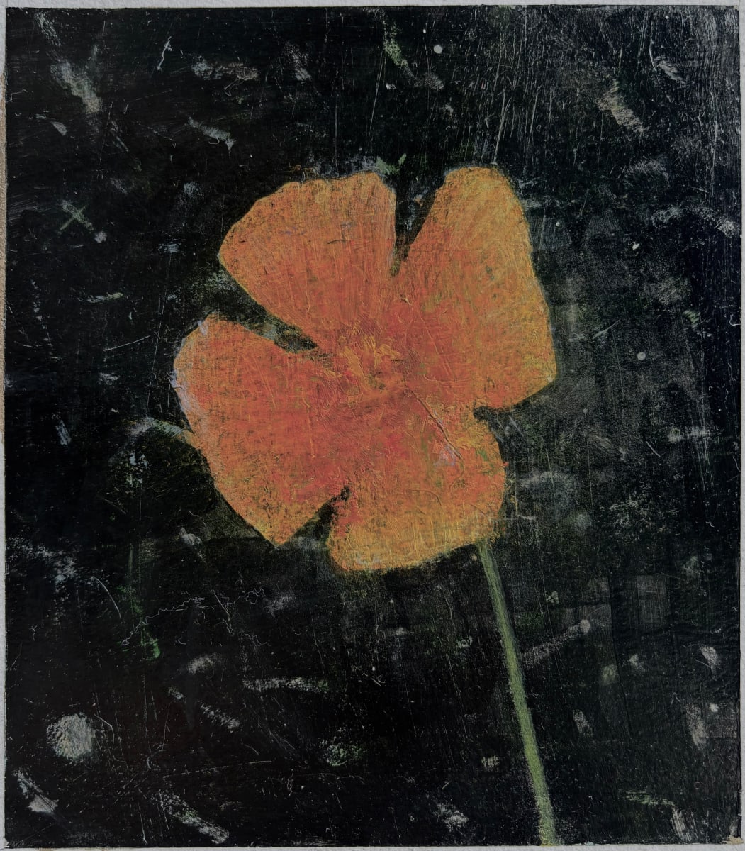 Orange Poppy Study 2 by John Beerman 
