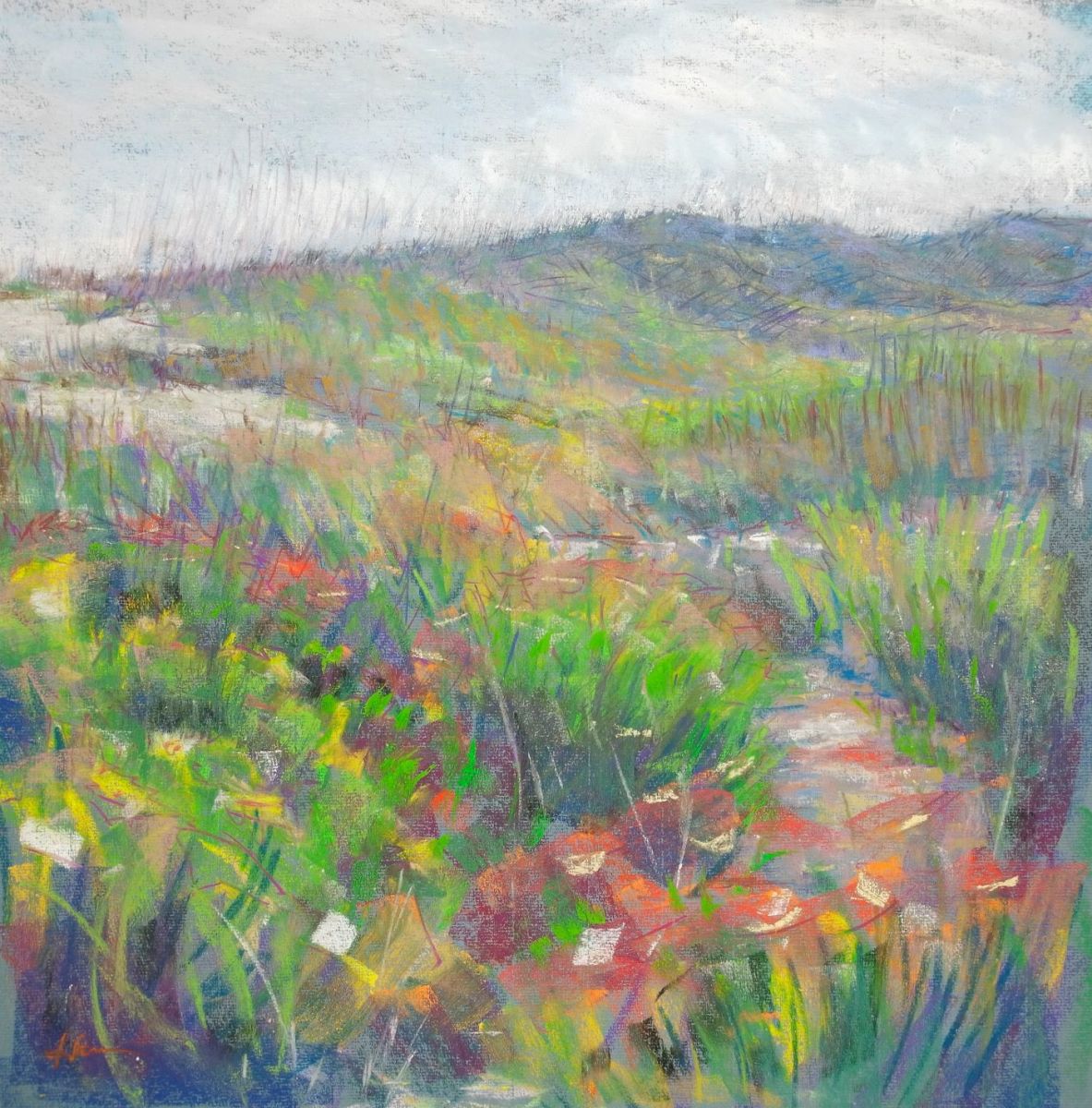 Folly Beach Dune Flowers by Hope Hanes 