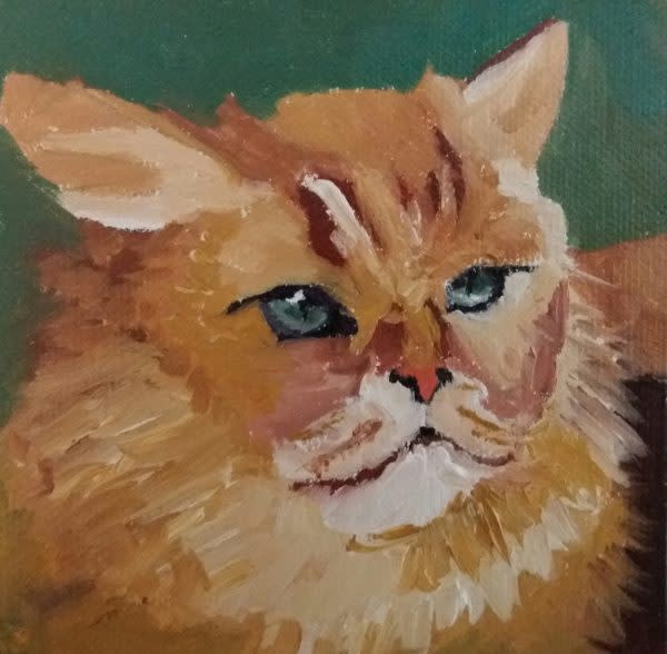 Don't Call Me Ginger by Marjory Sime 