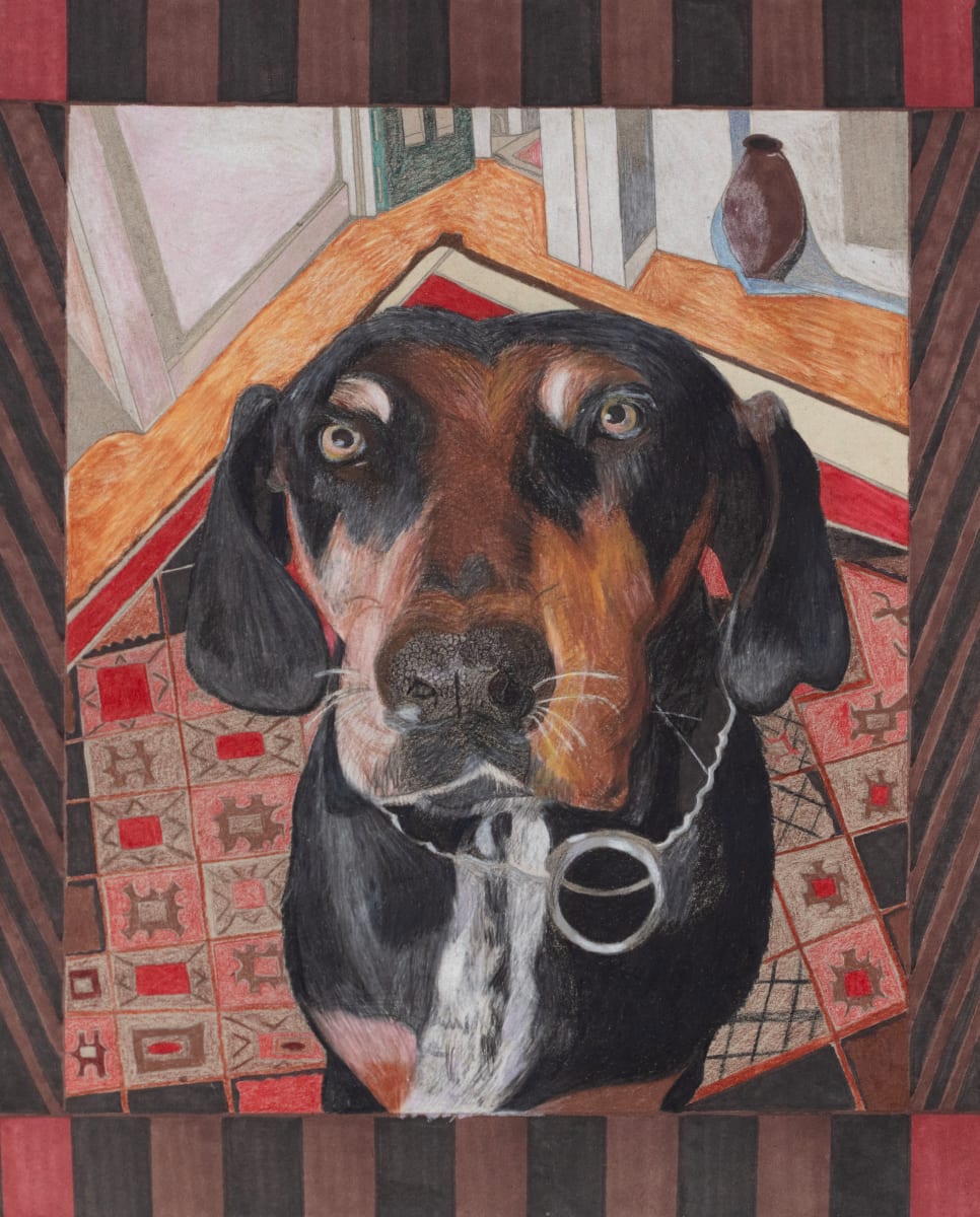 139. Gracie by Darwin Lawson 