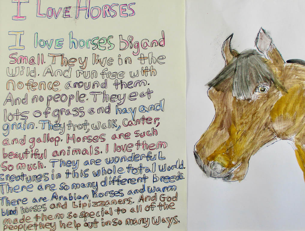 I Love Horses by Emily Hoog 