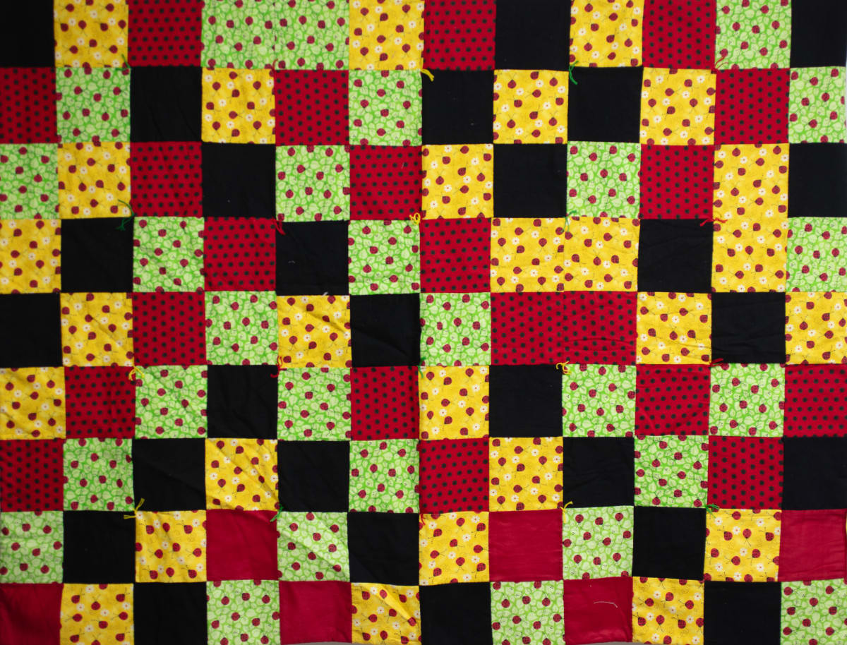 Ladybug Quilt by Anna Della Valle 