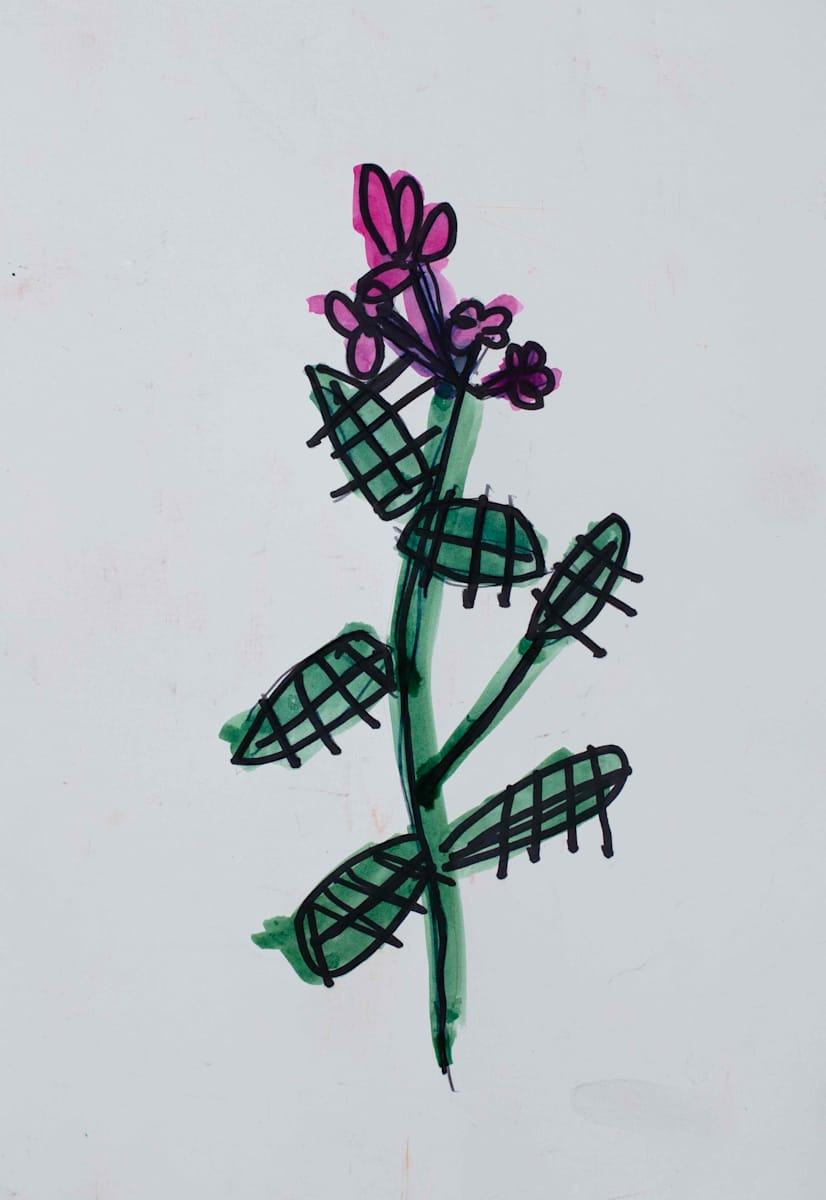 Pink Flowers by Anna Price 