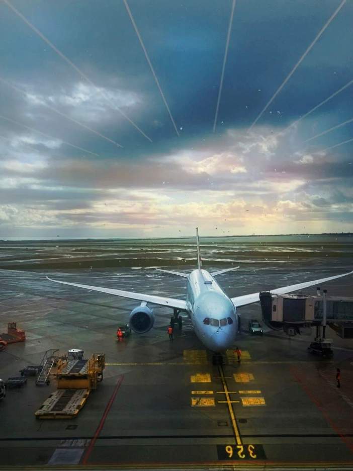 Awaiting Plane Homeward by Annie Bates-Winship 