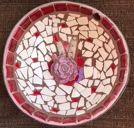 Peace Rose ( Peace in Chaos) 