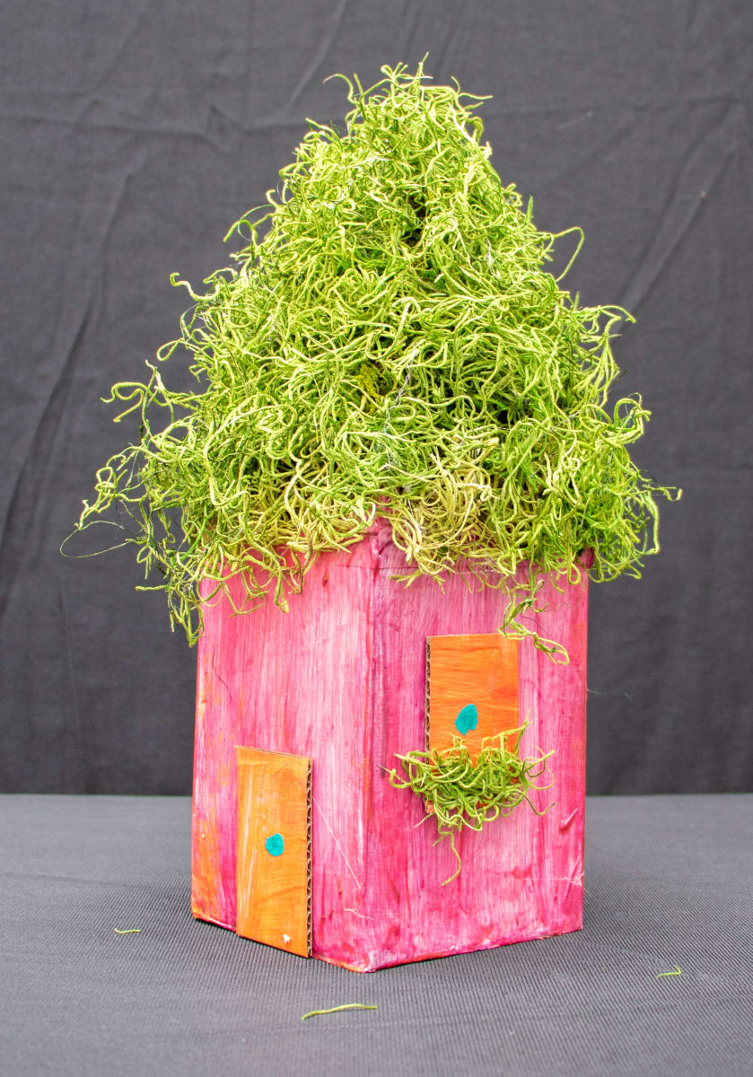 Green Roof by Cathy  Pitzak 