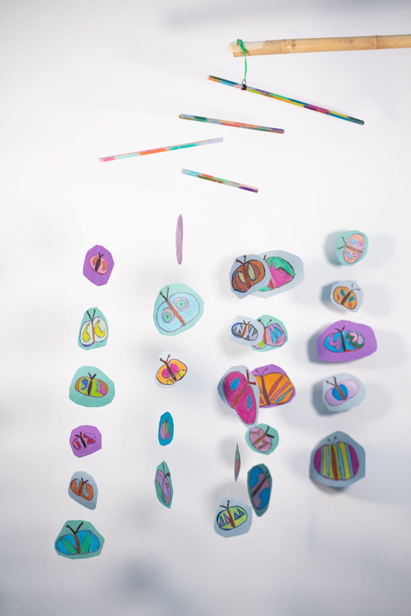 Butterflies by Cindy Johnson 