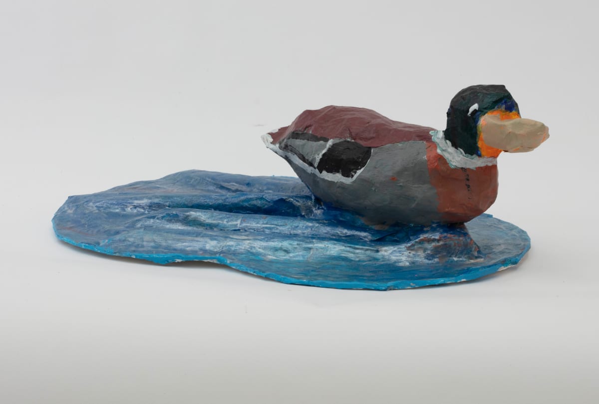 Duck by Cynthia Adams 