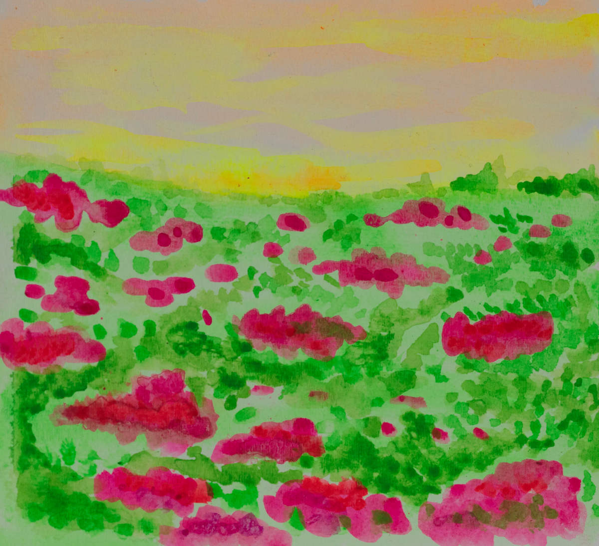 Wild Flowers by Cynthia Adams 