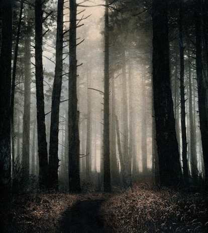 Sky Trail by Dana Christensen 