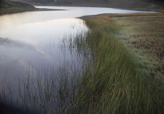 Rodeo Beach Lagoon by Dana Christensen, Image 13.