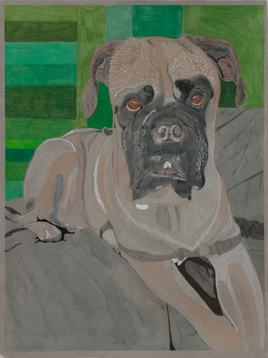 Dog by Darwin Lawson, Image 2.