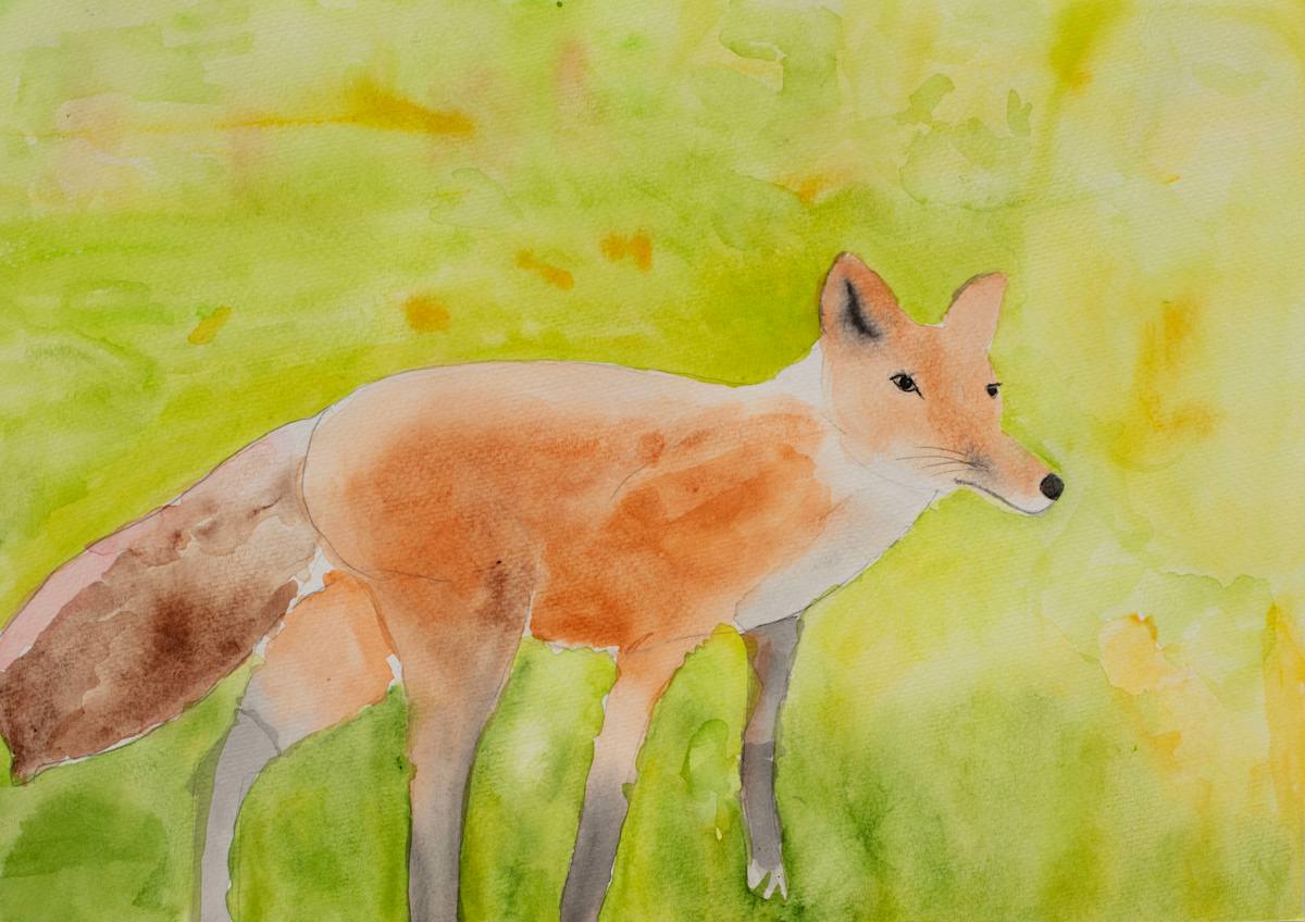 Fox by Debbie Wann, Image 3.