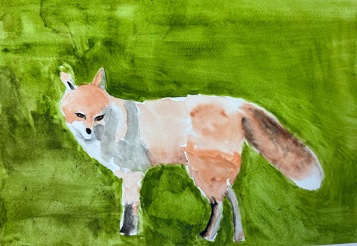Fox by Debbie Wann 