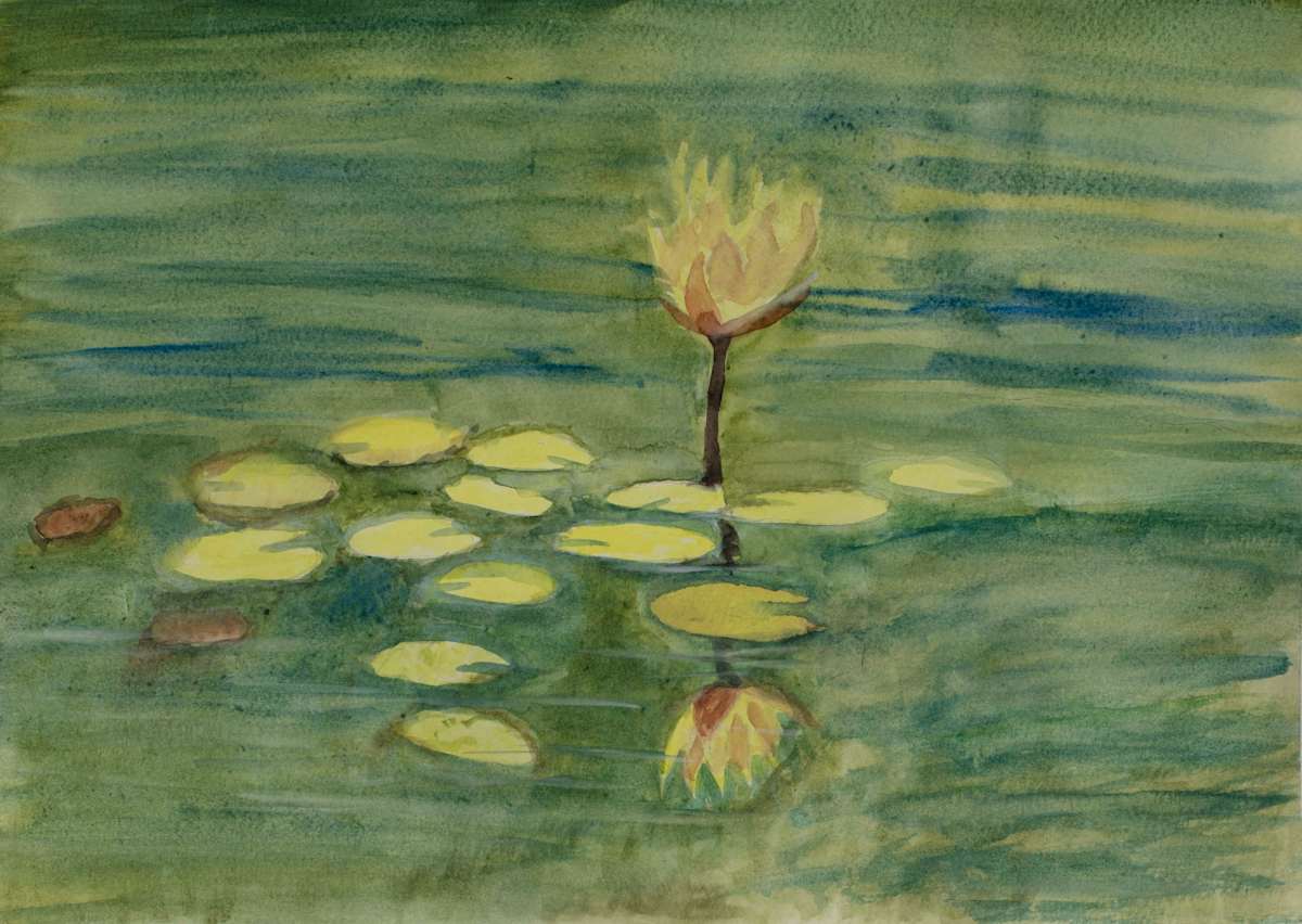 Reflections of Lily by Debbie Wann, Image 3.