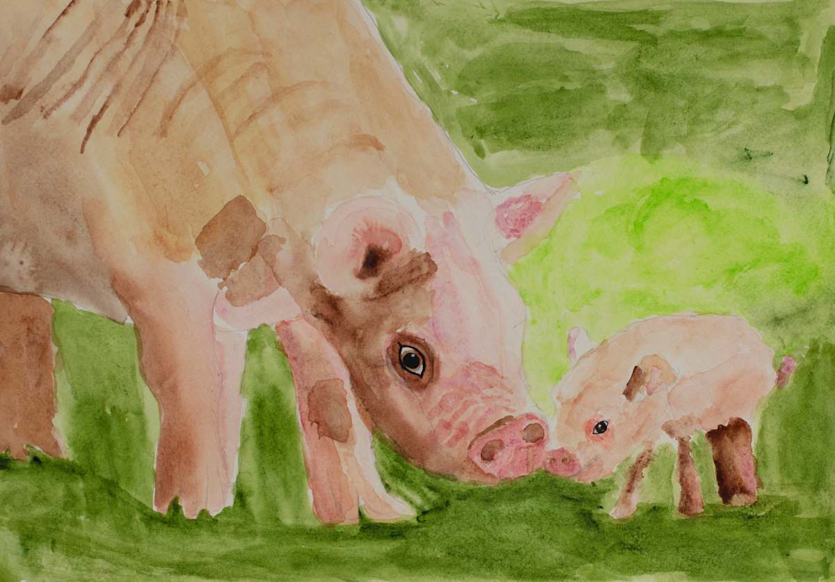 Mother Pig & Baby by Debbie Wann 