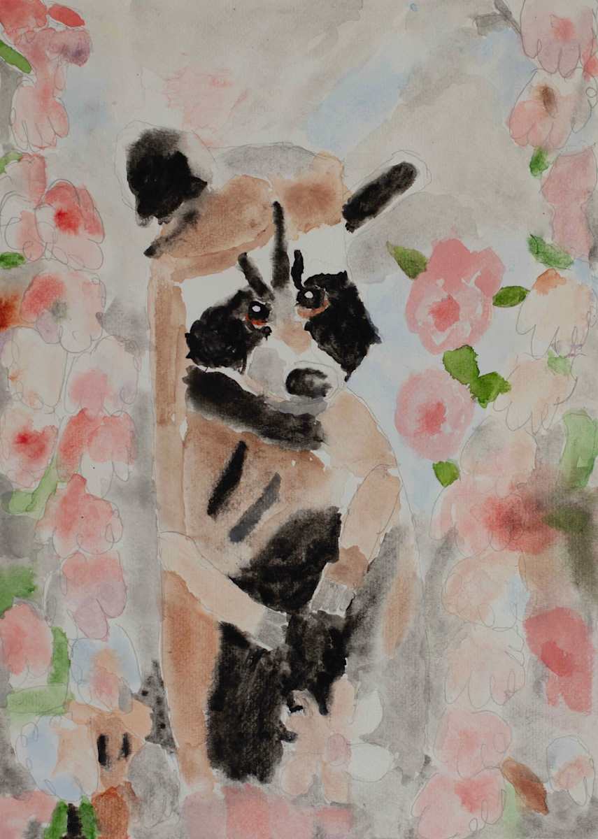 Raccoon in Garden by Debbie Wann 