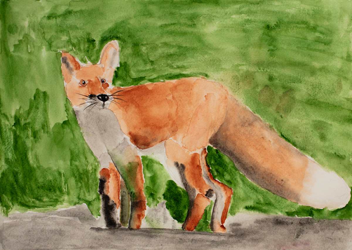Alert Fox by Debbie Wann 