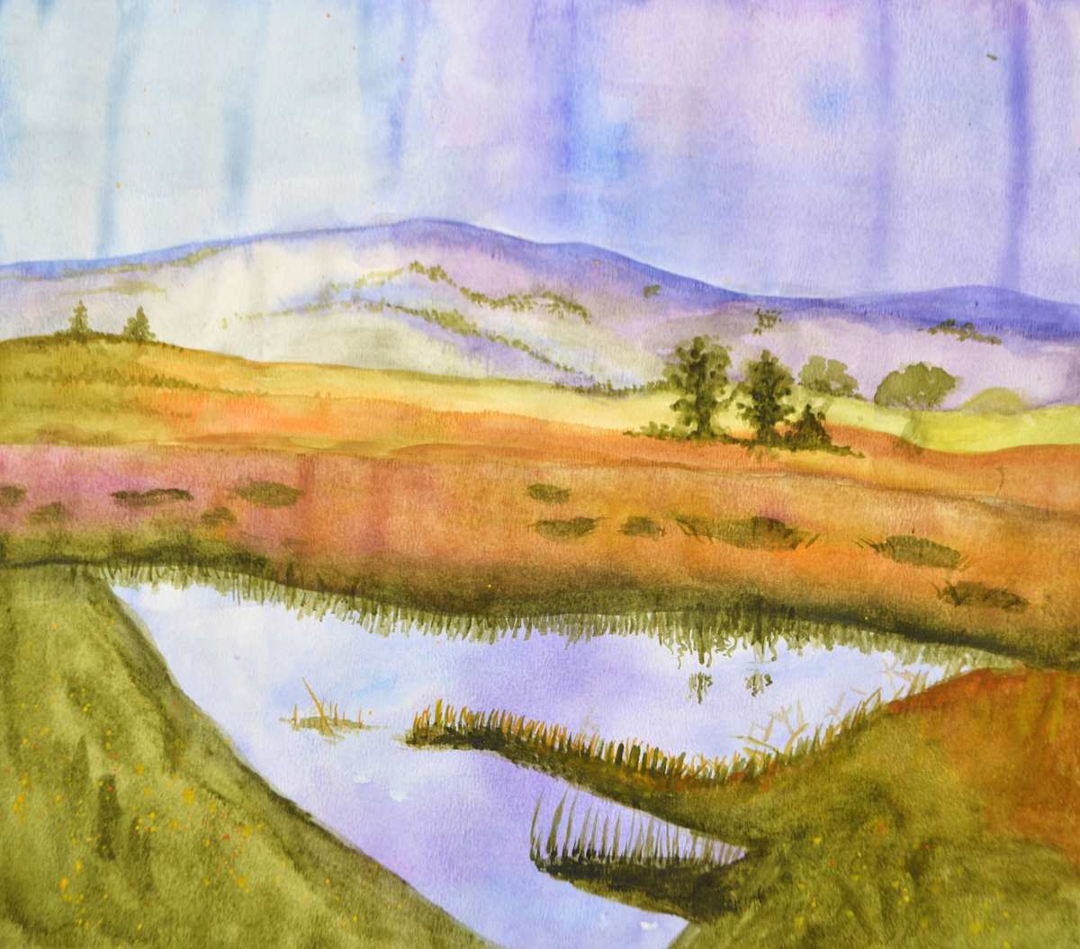 Morning Reflection by Gabriela  DeJohn 