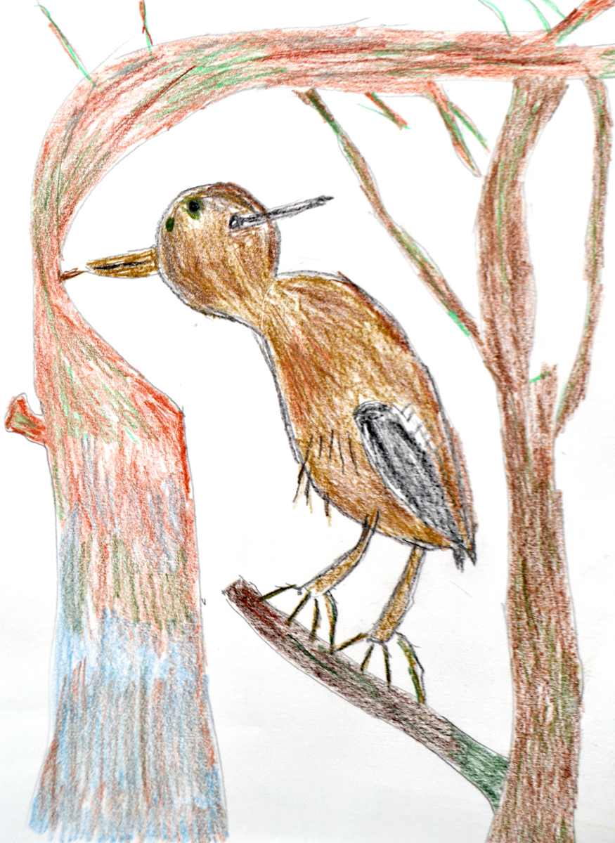 Woodpecker by Gabriela DeJohn, Image 1.