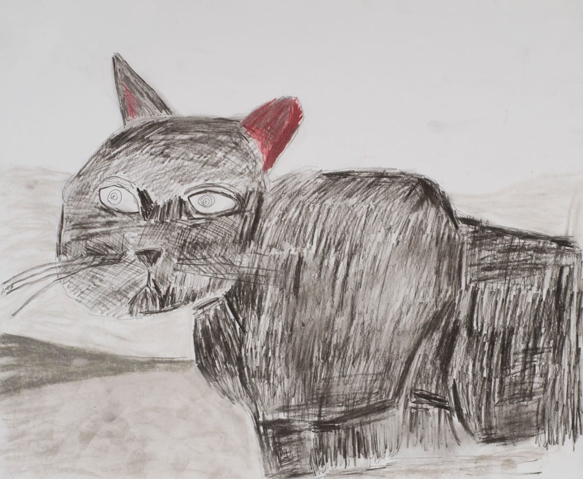 Lily Belle Downing by Greg Gazzano 