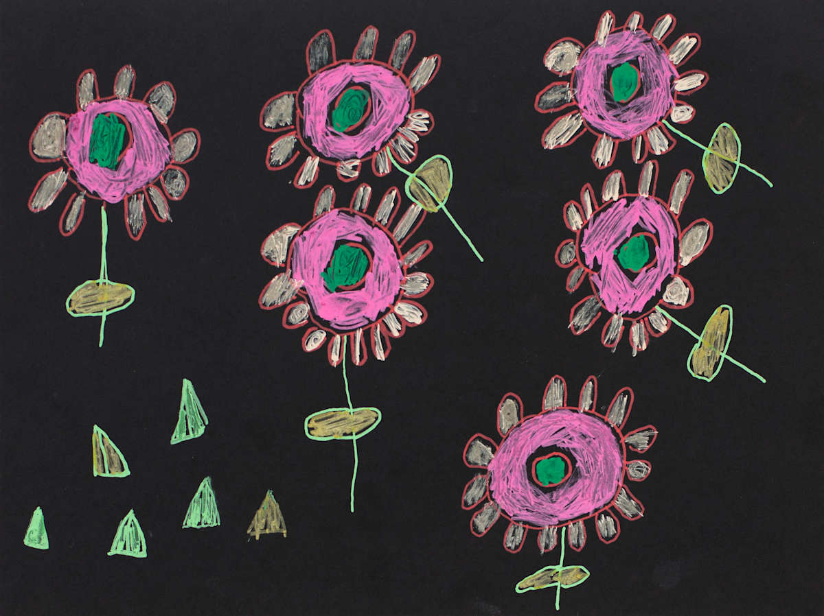 Cherry Blossom by Greg Gazzano 