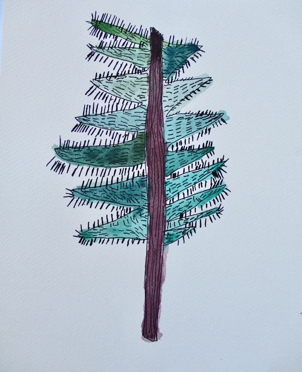 Lone Pine by David Coury, Image 1.
