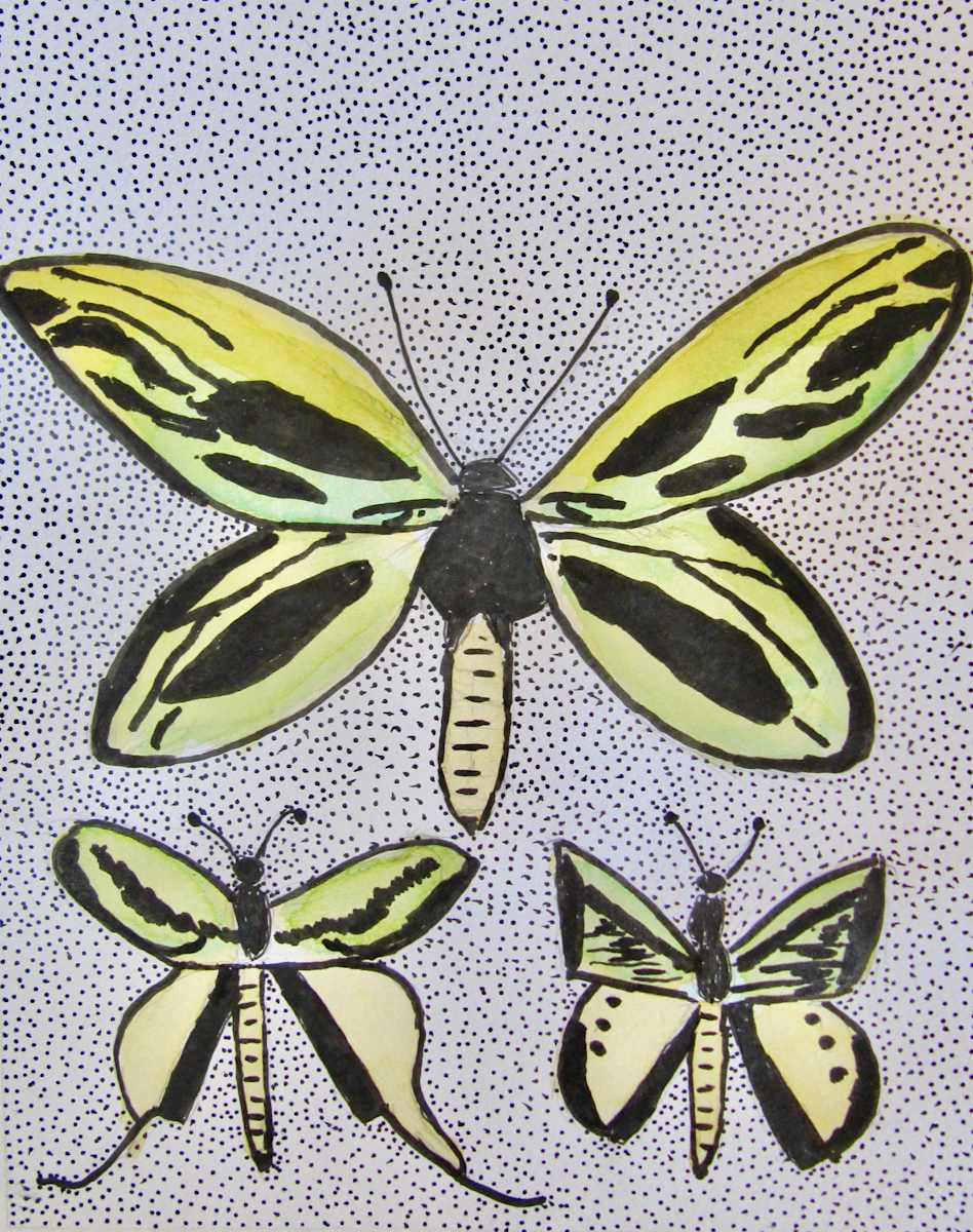 Butterfly Collection by Toni Johnston 