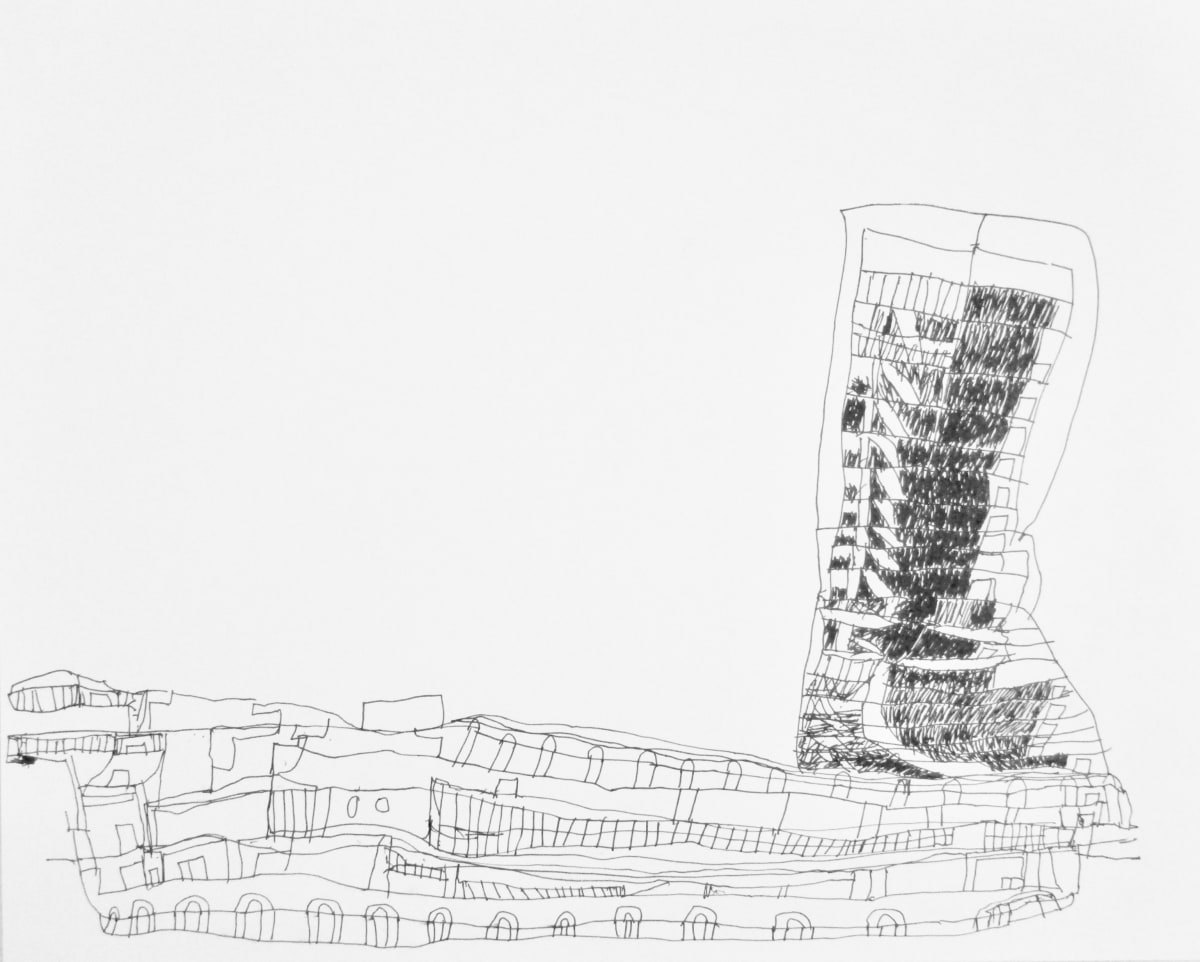 de Young Museum by Siobhan Cooke 