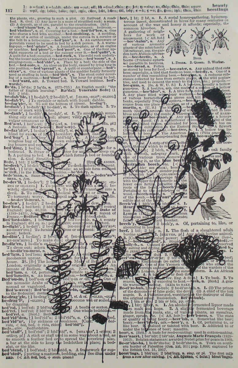 Bedazzle by Siobhan Cooke 