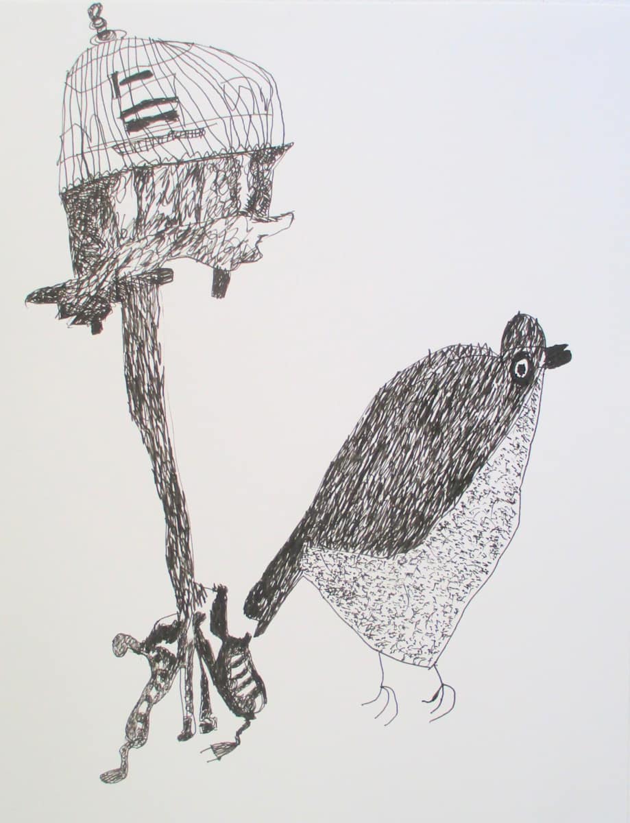 Bird and Cage by Siobhan Cooke 