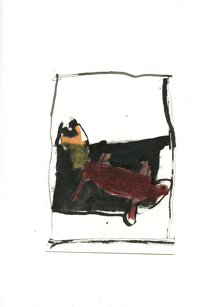 Piggy I by Jill Goodall 