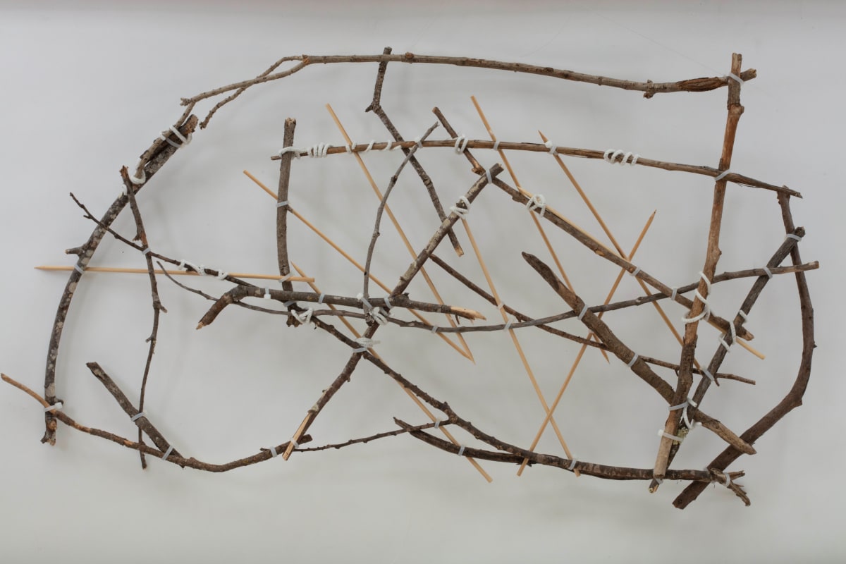 Caged Emotional Rollercoaster by Julie Corry, Image 2.